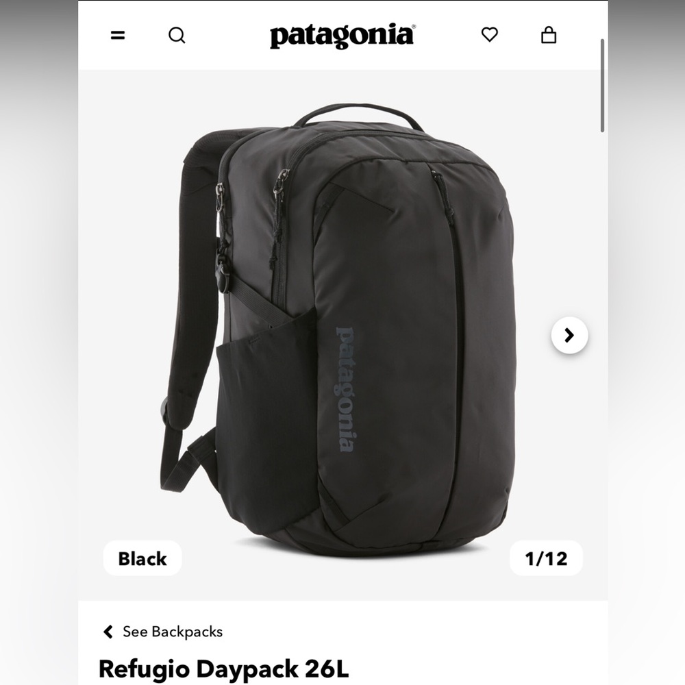 Patagonia Refugio Daypack 26L Backpack